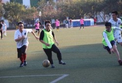 体育会系在线观看